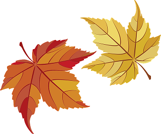 maple-leaves-151015.png